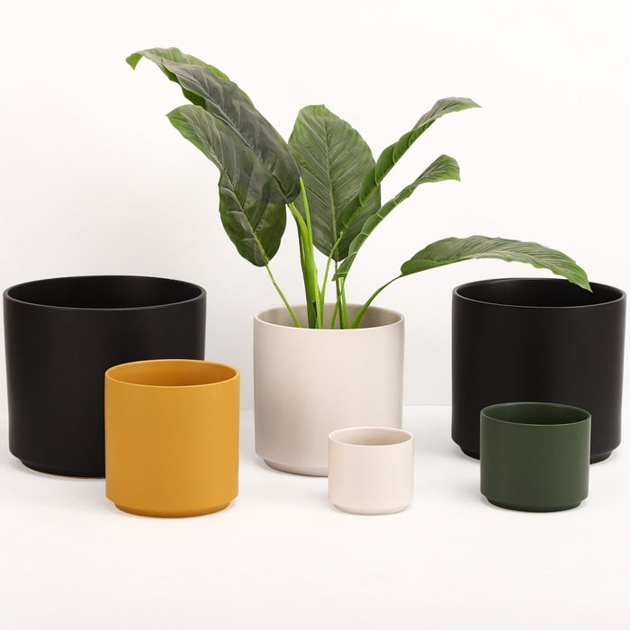 The Ceramic Cylinder Planter, 2nd Generation - Ed's Plant Shop