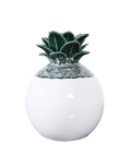The Palma Collection-Pod Vase