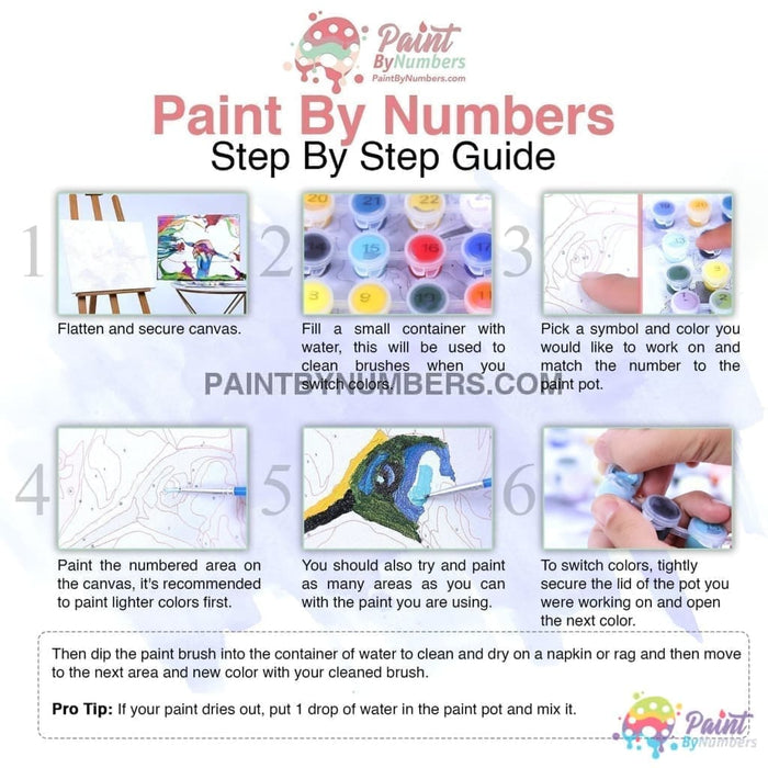 White Wolf Dreamcatcher Paint By Numbers Kit