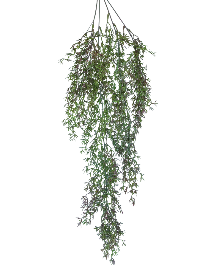 Trailing Heather Stem