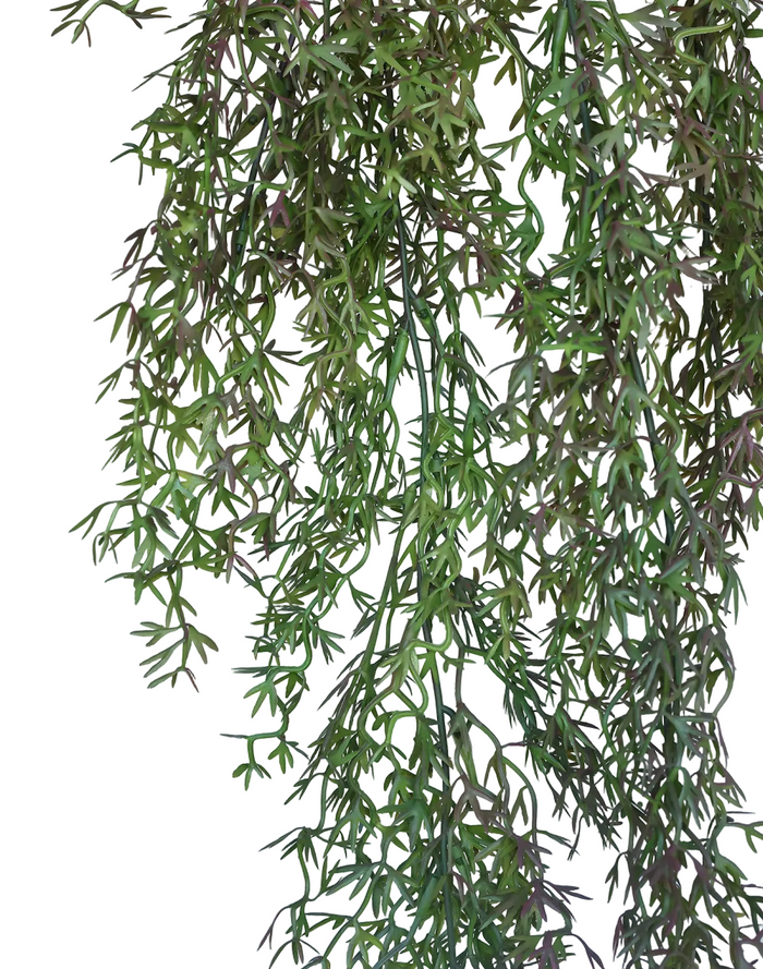 Trailing Heather Stem