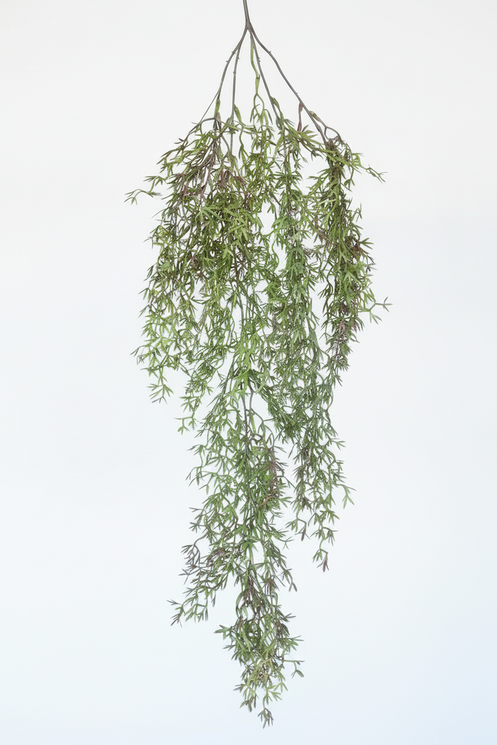 Trailing Heather Stem