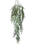 Trailing Heather Stem