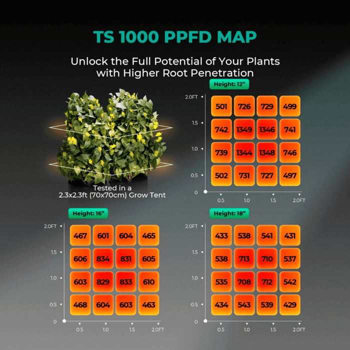 TS1000 LED Grow Light | Full Spectrum, Energy Efficient, Beginner - Friendly - Ed's Plant Shop