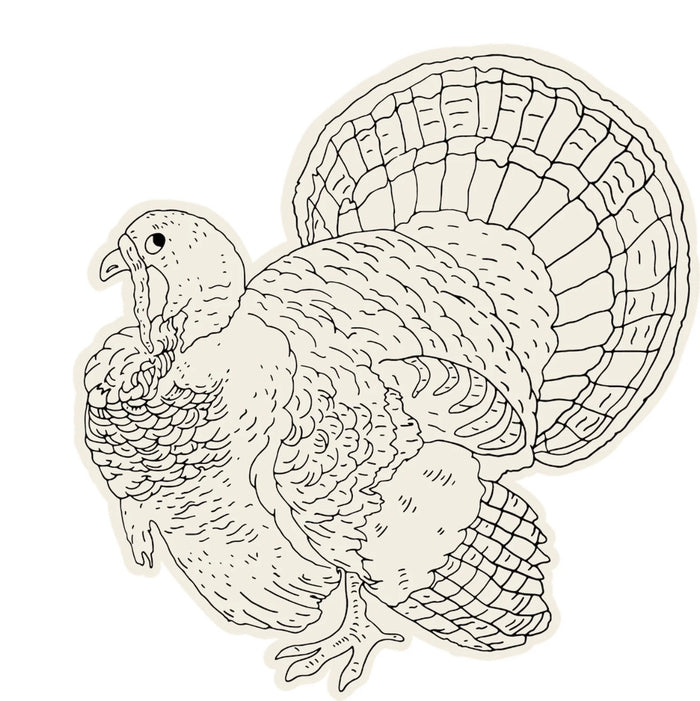 Turkey Coloring Placemat