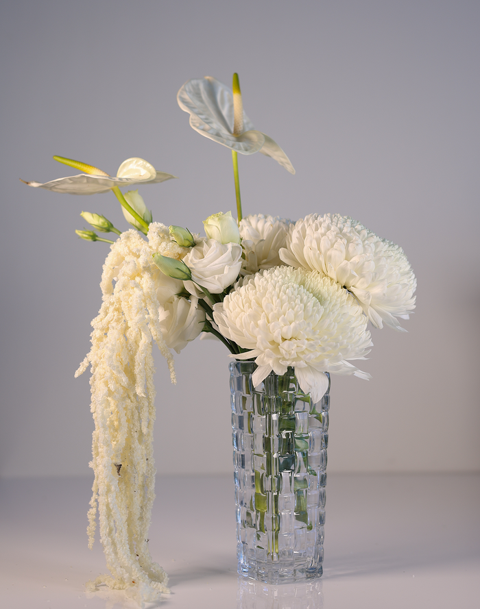 Venetta Bud Vase Clear
