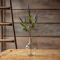 Veronica Blush and Blue