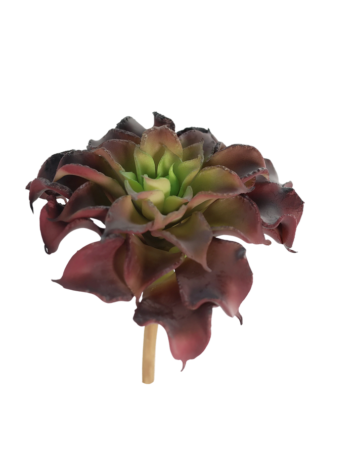 Wavy Rosettes | Available in 2 Colors
