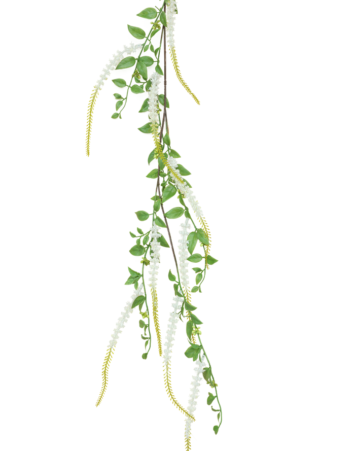 Weeping Buddleja | Available in 5 Colors