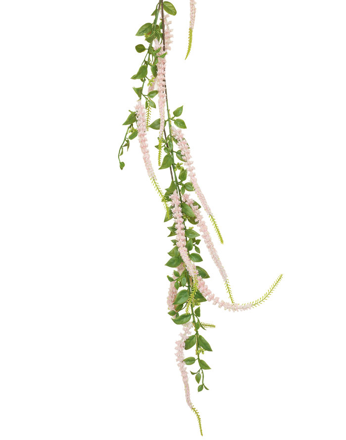 Weeping Buddleja | Available in 5 Colors