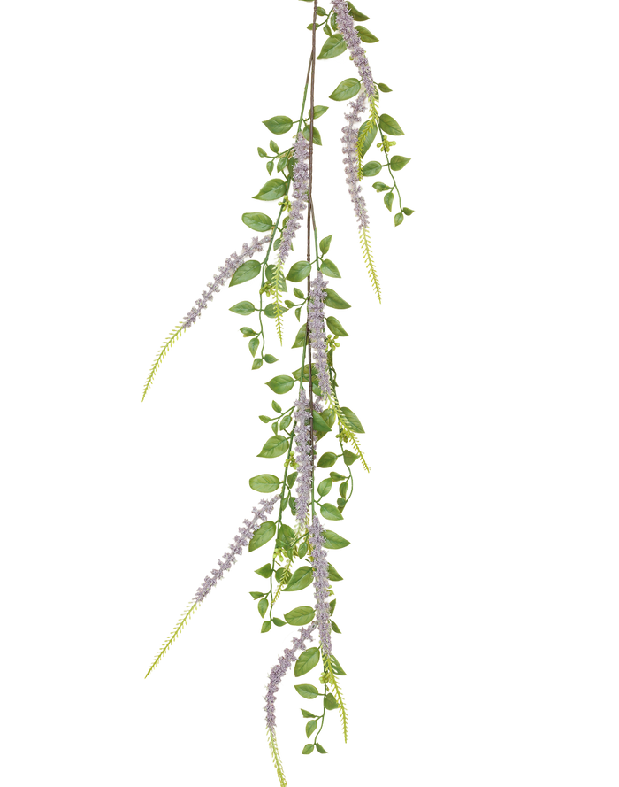 Weeping Buddleja | Available in 5 Colors