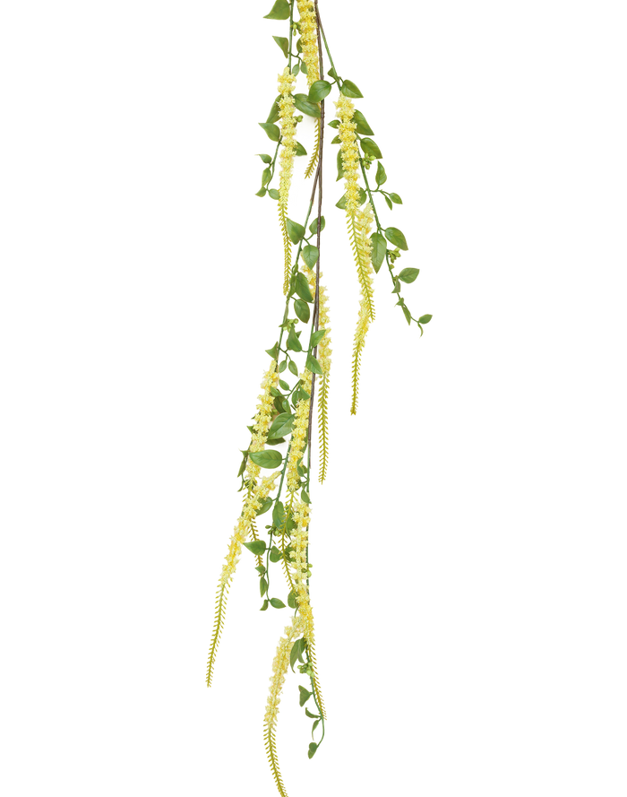 Weeping Buddleja | Available in 5 Colors