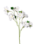 White Bougainvillea - 33" White