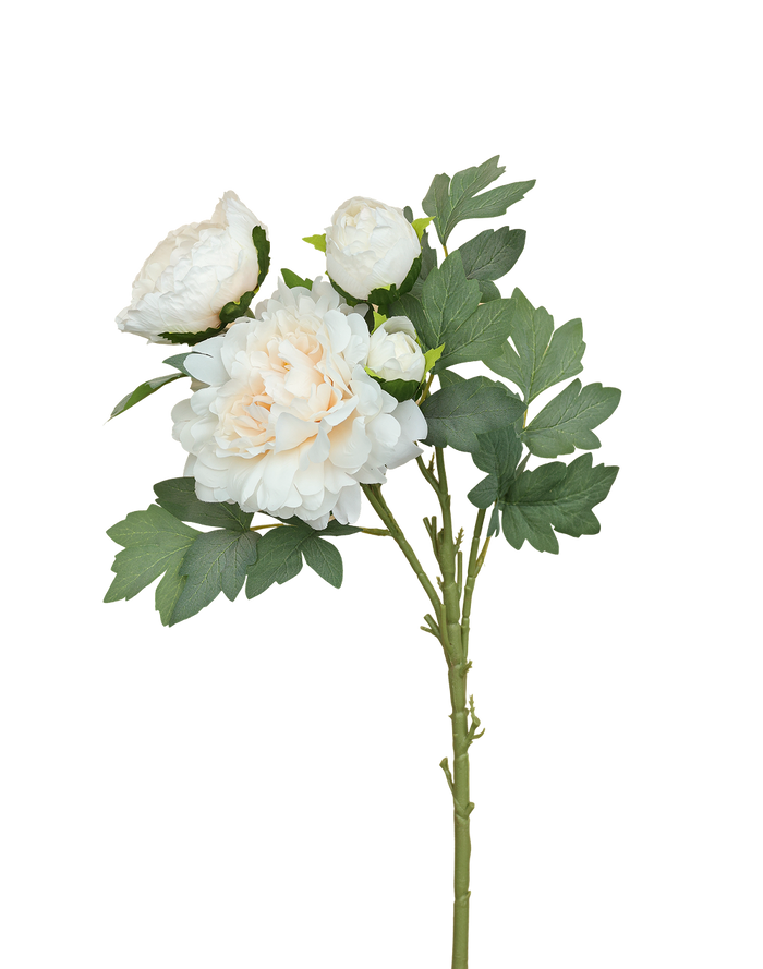 White Creamy 4-head Peony Spray