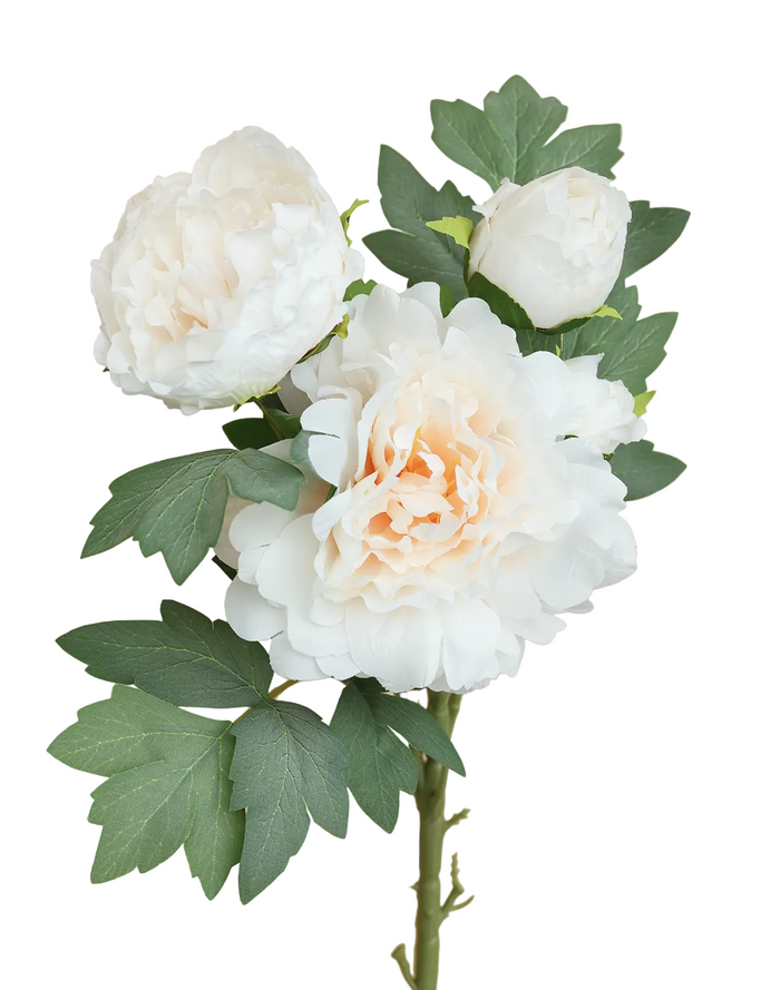 White Creamy 4-head Peony Spray