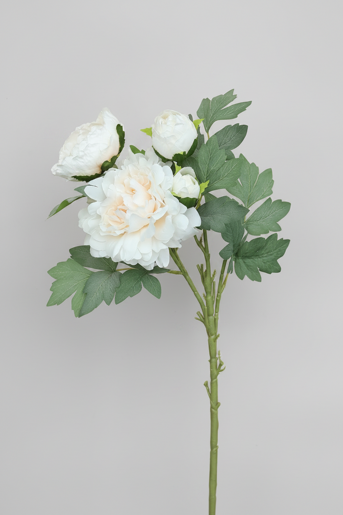 White Creamy 4-head Peony Spray