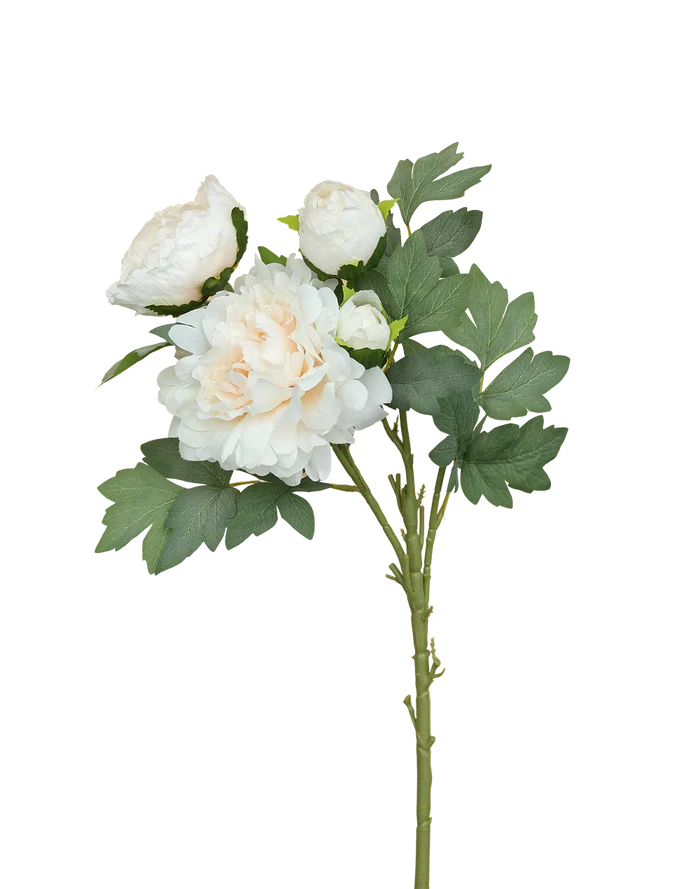 White Creamy 4-head Peony Spray