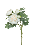 White Creamy 4-head Peony Spray