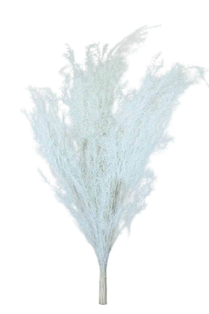 White Dried Asparagus Fern Spray