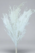 White Dried Asparagus Fern Spray