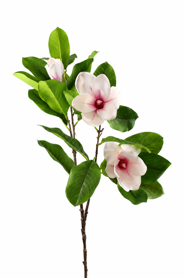 White Magnolia-40"