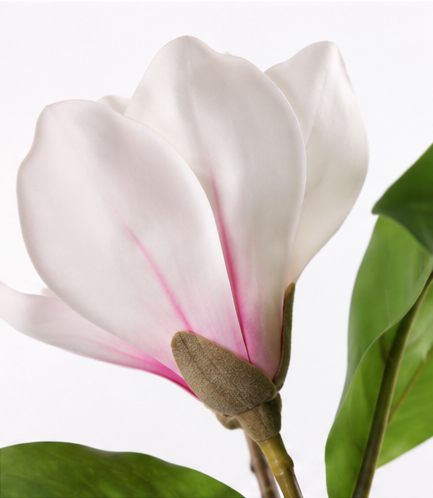 White Magnolia-40"