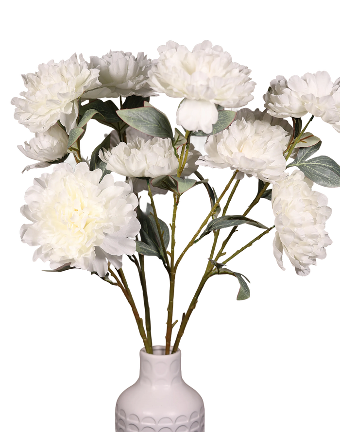 White Peony Bunch-36"