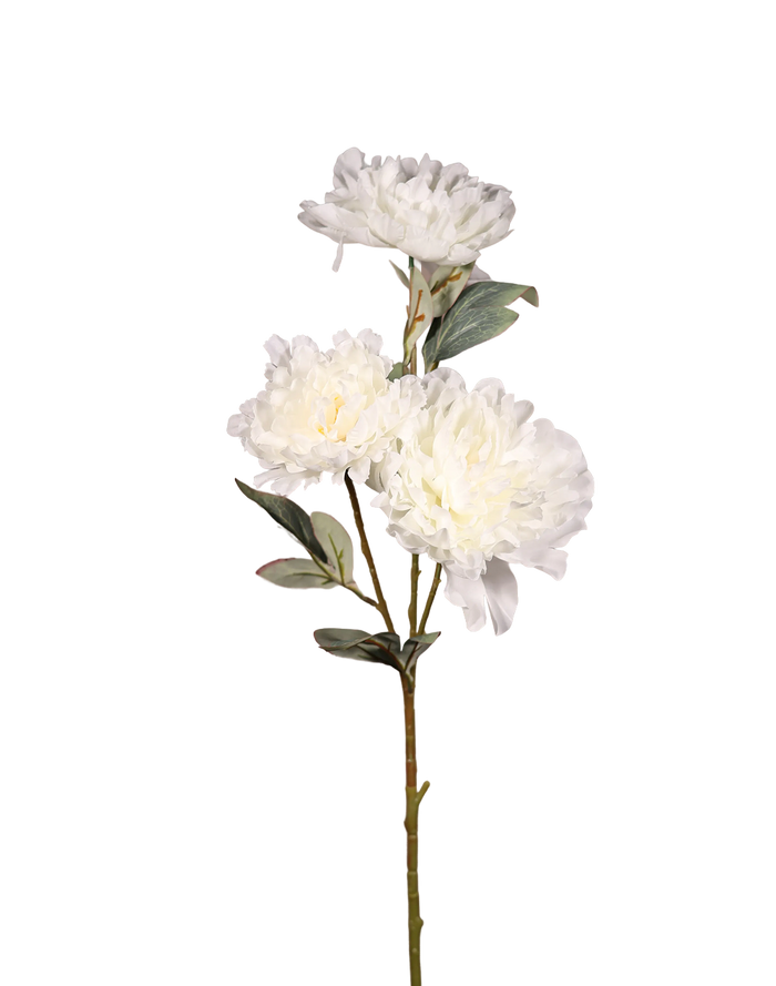 White Peony Bunch-36"
