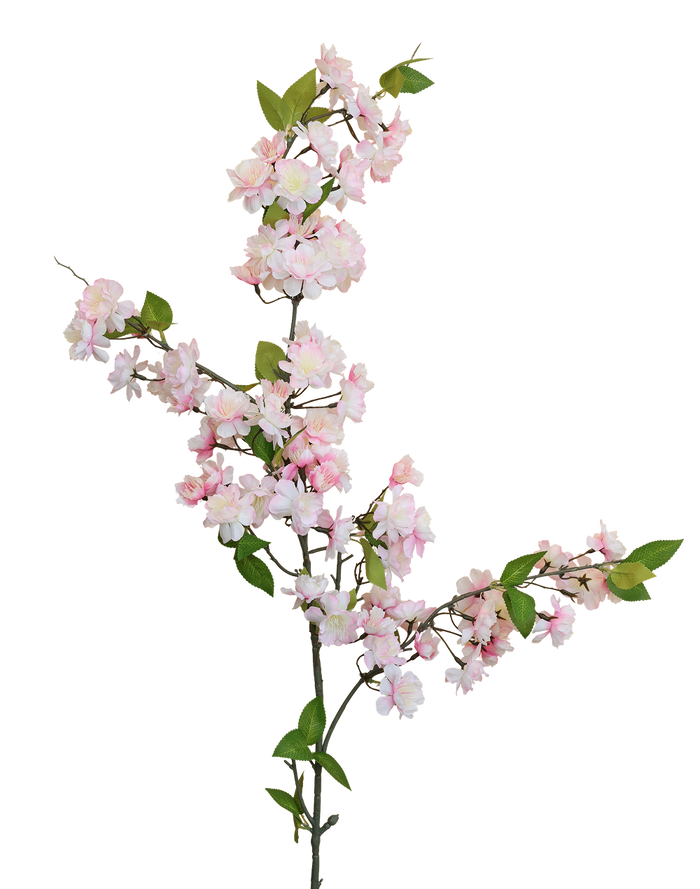 Yaezakura Cherry Blossom | Available in 2 Colors